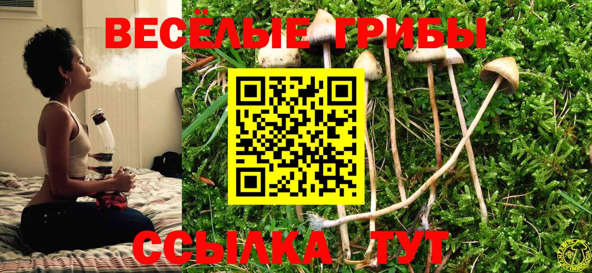 Галлюциногенные грибы ЛСД  Вход с VPN  Новоалександровск 